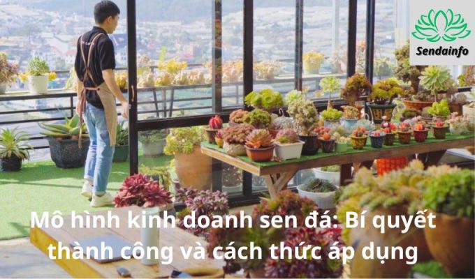 Mô hình kinh doanh sen đá: Bí quyết thành công và cách thức áp dụng