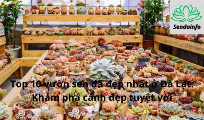 Top 10 vườn sen đá đẹp nhất ở Đà Lạt: Khám phá cảnh đẹp tuyệt vời