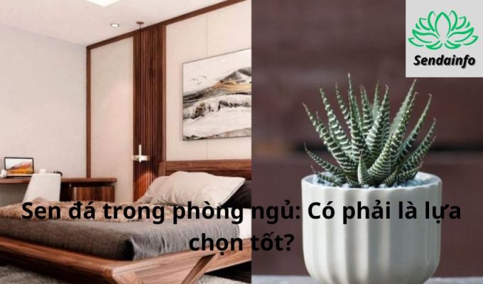 Sen đá trong phòng ngủ: Có phải là lựa chọn tốt?